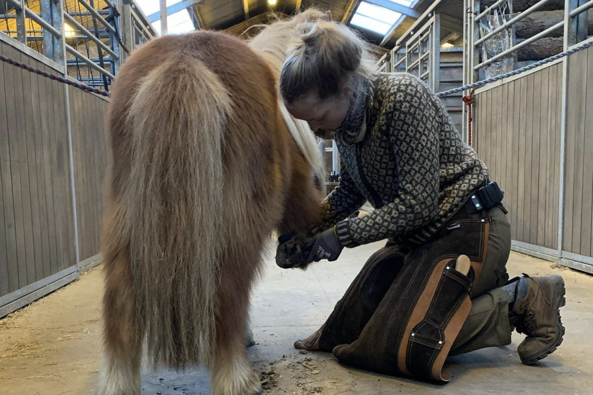 Screenshot 2026-01-23 at 13.09.42